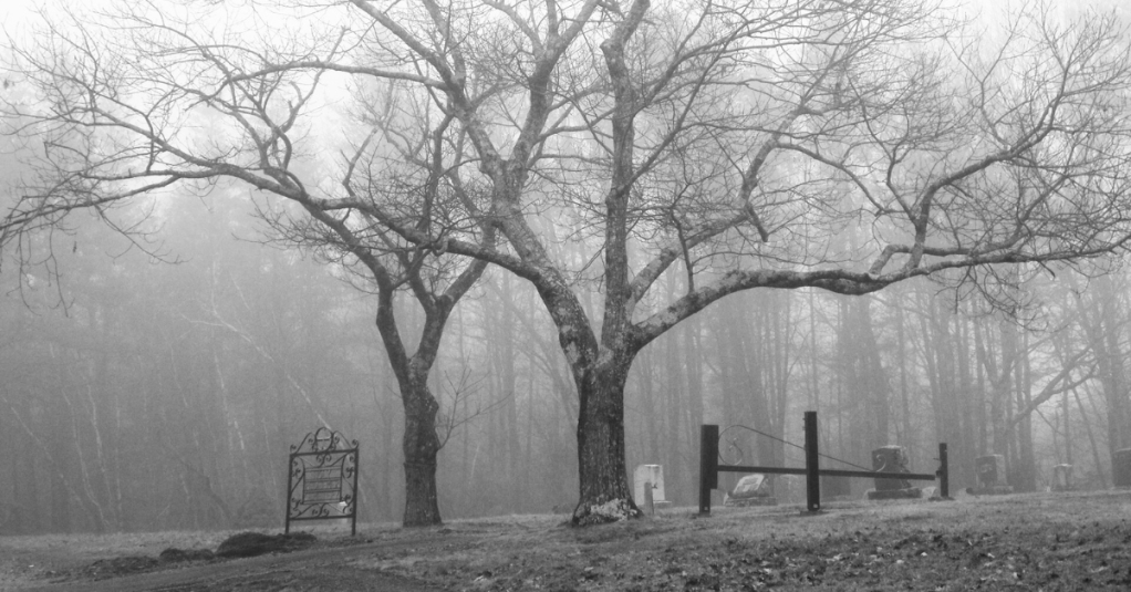 Interview: Author Premee&nbsp;Mohamed